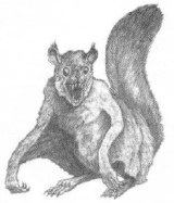ptera-squirrel